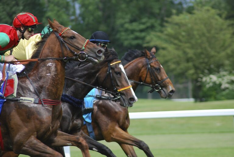 IPL and Sports Medicine: Injury Prevention and Rehabilitation
