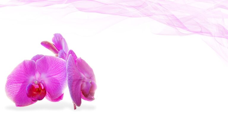 Dementia Awareness: Understanding and Supporting Individuals with Memory Loss