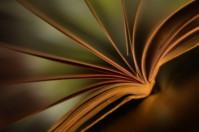 How Charter Schools Foster a Love of Reading: Tigerexchange247, Golden 77, Sky99exch