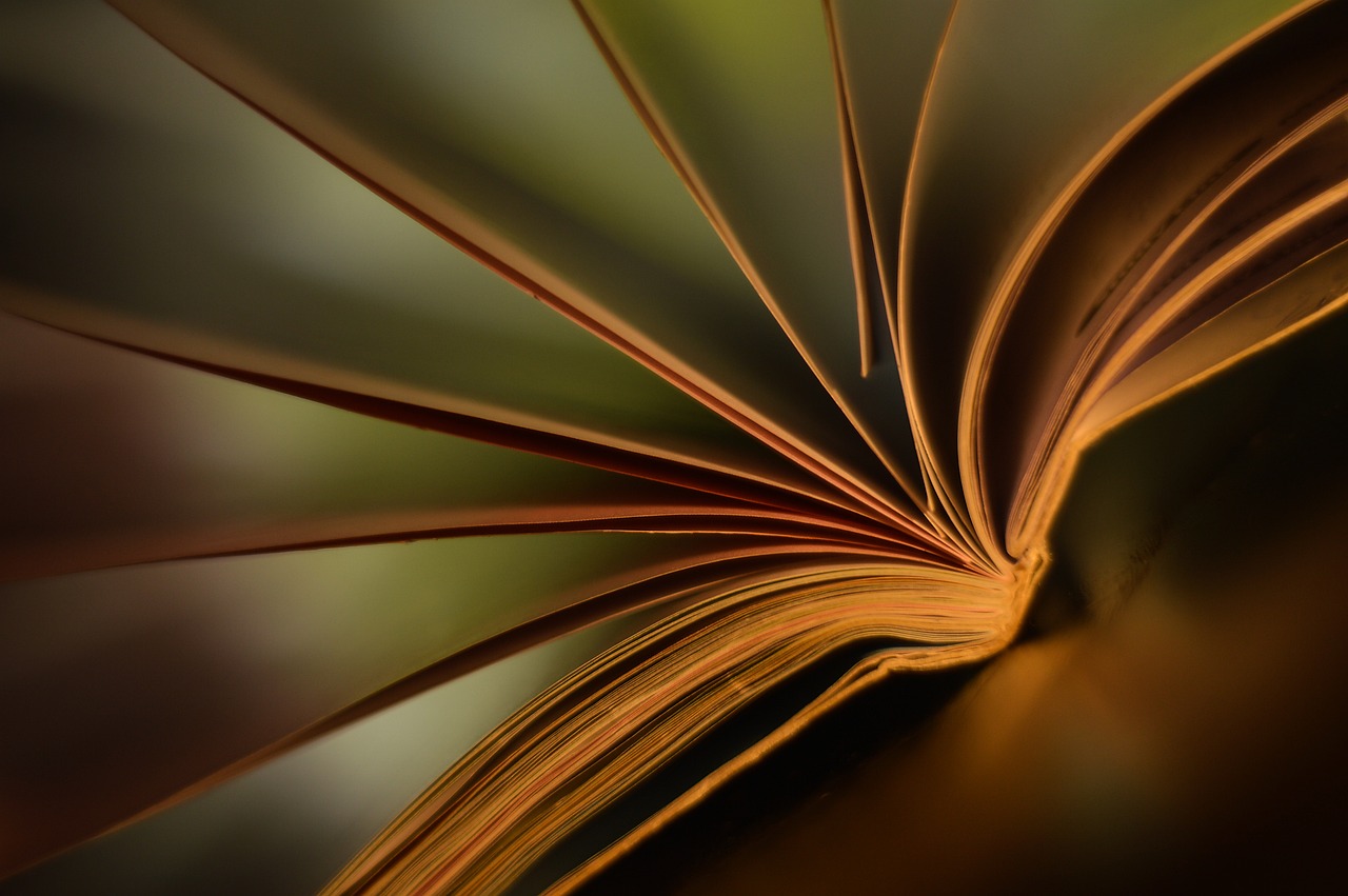 How Charter Schools Foster a Love of Reading: Tigerexchange247, Golden 77, Sky99exch