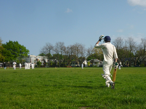 The Role of Cricket in Environmental Conservation: Eco-friendly Practices