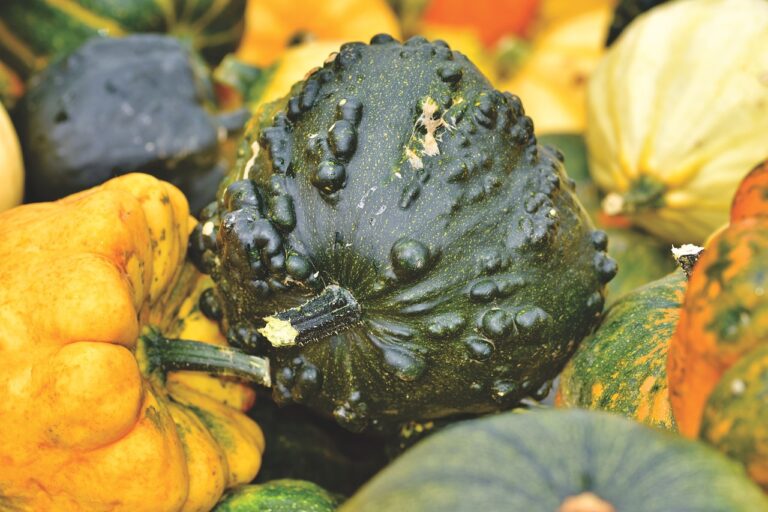 The Art of Crop Diversification for Pest Management: Betbhai.com sign up, Playexch in live login, Gold365 login