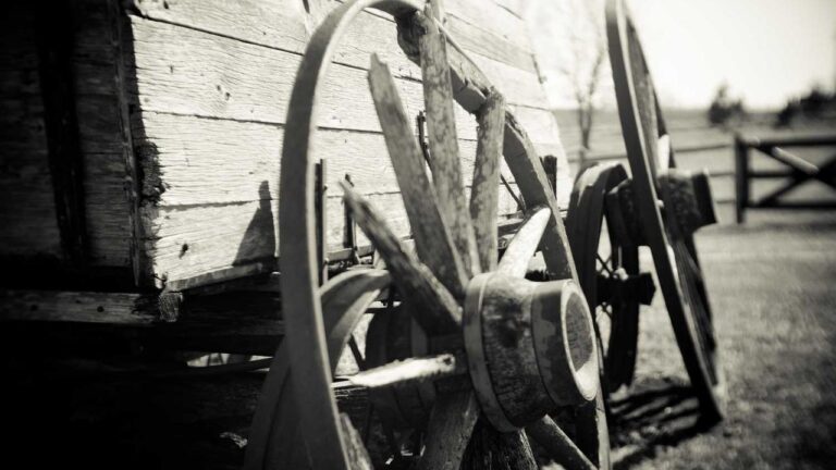 How Can I Redeem A 99Exch Bonus Code?